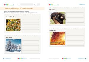 Assessment thumbnail