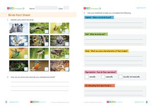 Assessment thumbnail