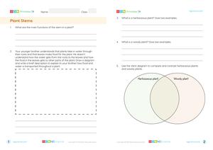 Assessment thumbnail